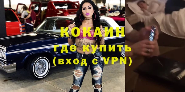 прущие грибы Медвежьегорск