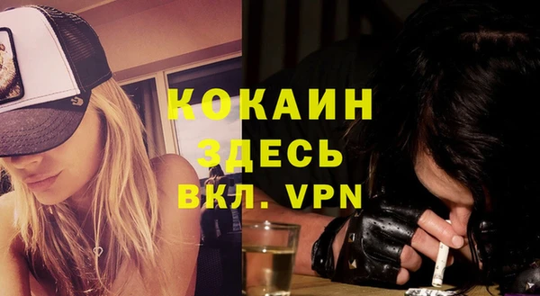 прущие грибы Медвежьегорск