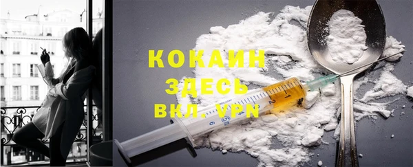 винт Мегион