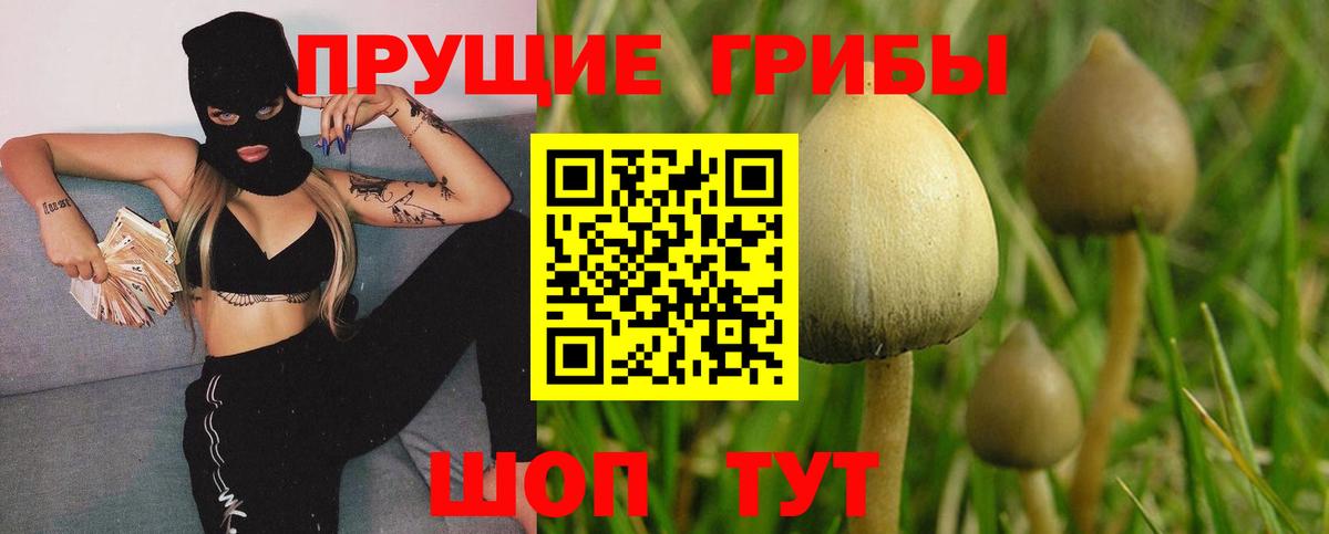 Псилоцибиновые грибы прущие грибы Южноуральск